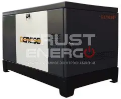 Газовый генератор Genese Pro 10000 Neva кожухе с АВР