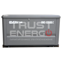 Газовый генератор EVOline GNG13500E В кожухе RATO R999D trustenergo.ru